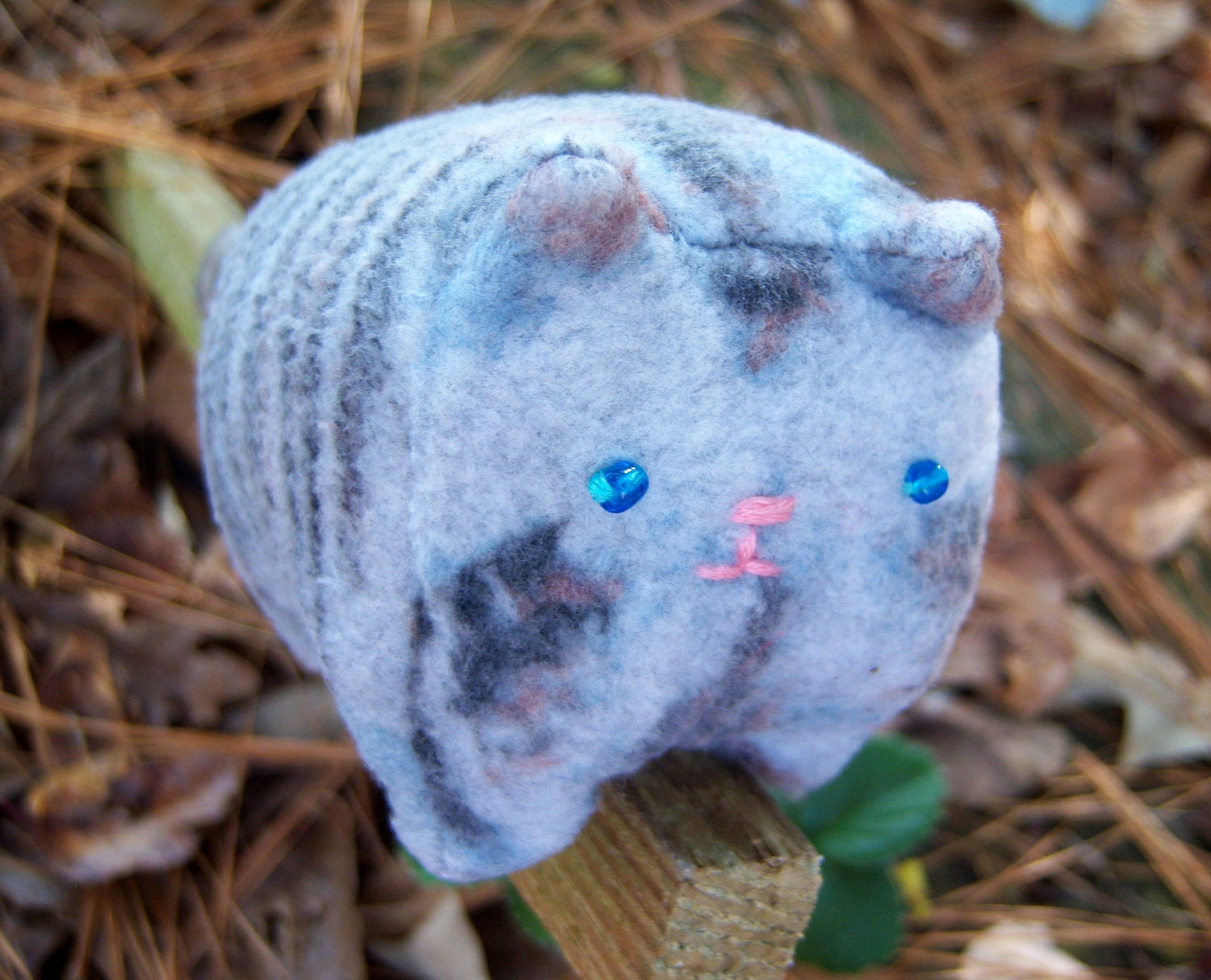 Tiny Tabby の掲示板投稿写真＆画像
