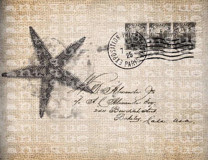 Antique Vintage Starfish Beach Ocean Postcard Series Clipart Digital 