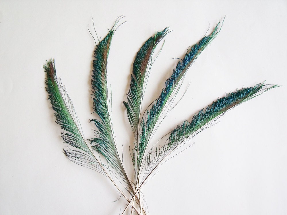  sprays in home decor and wedding feather and floral arrangements