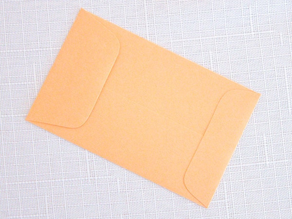 CreateYourOwn lil 39 gift cards and tuck them away in our Mini Envelopes