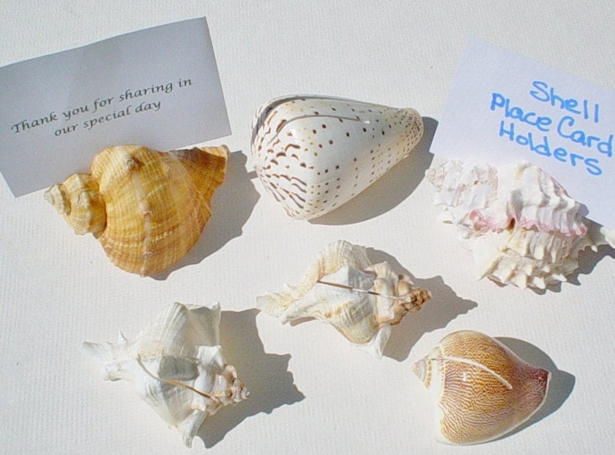 Seashell Place Card Holders Wedding Reception Decorations Set of Six