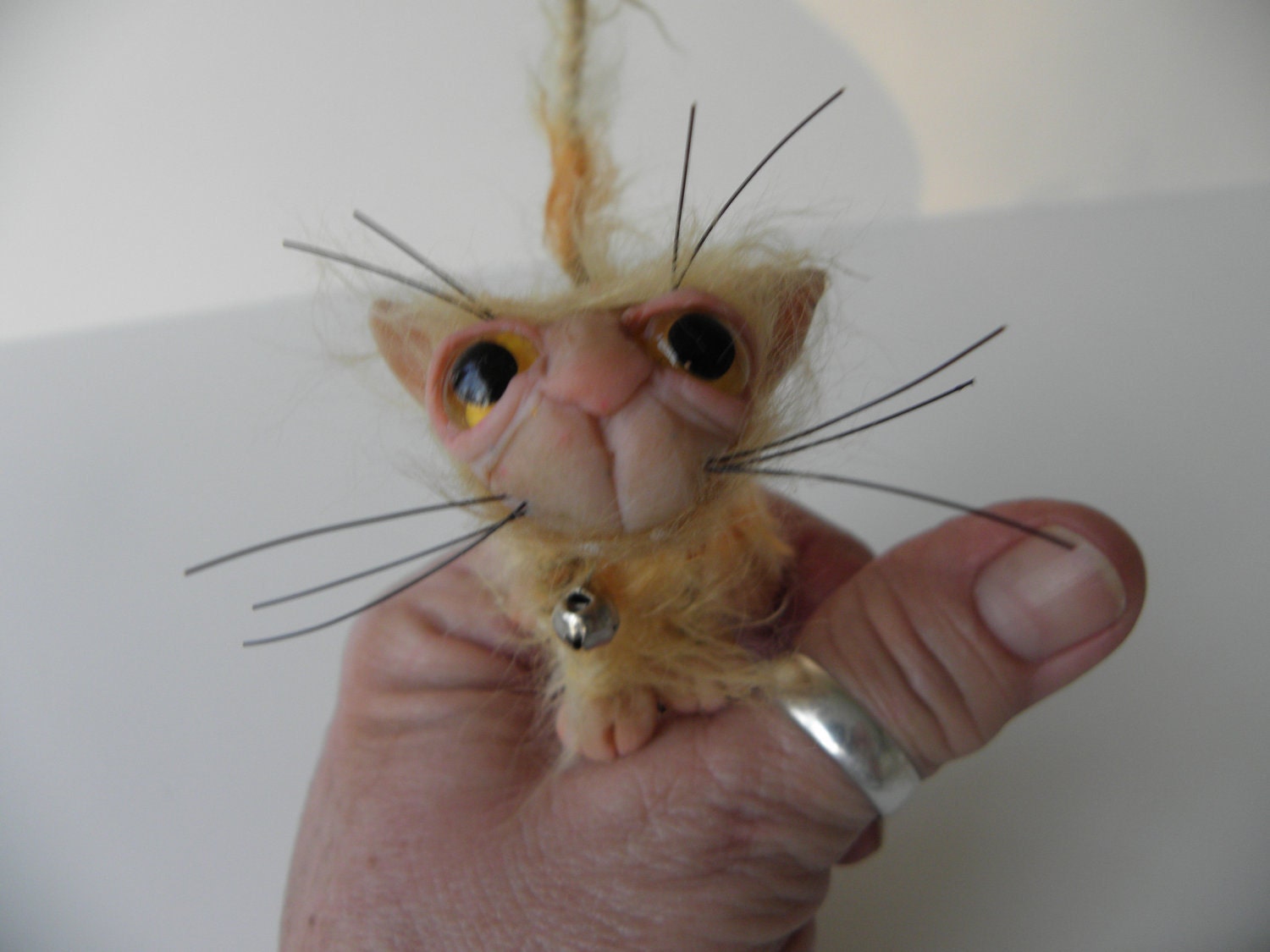 Tiny Tabby の掲示板投稿写真＆画像