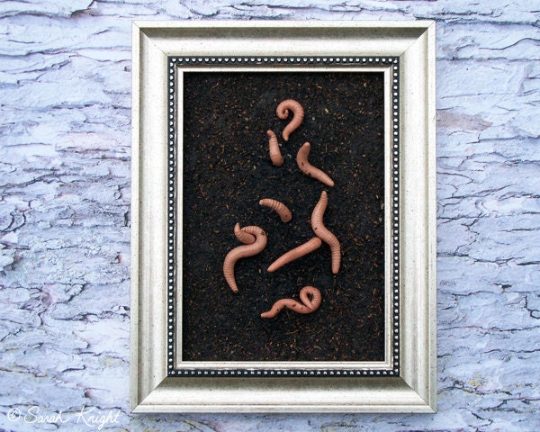 tilling - 5X7 inch framed assemblage by Sarah Knight, earthworms worms dirt brown picture frame