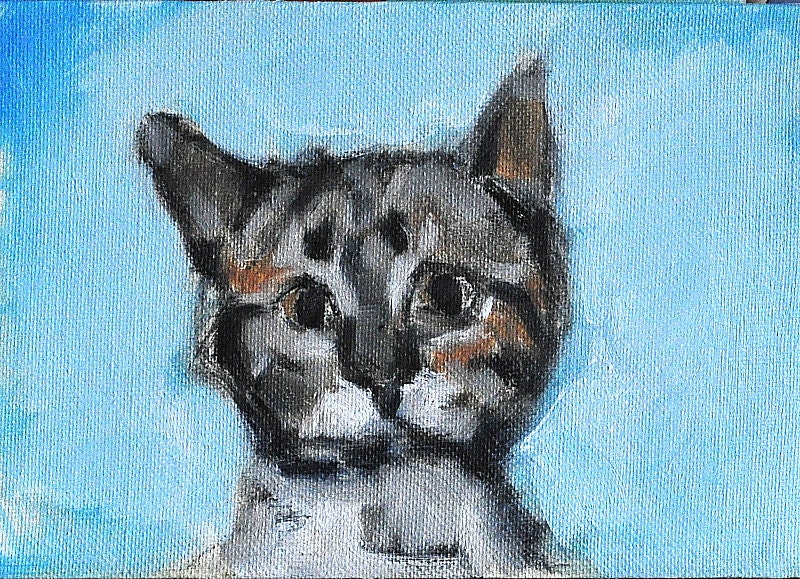 Custom Cat Paintings and Original Cat Art