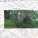 snowgumstudio