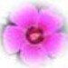 MadeByFlower
