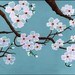 KBlossoms