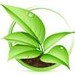 GardenGateBotanicals