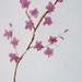 BecArtDesign