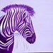 PurpleZebra36