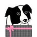 Giftseasonstore