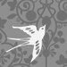 sparrowgrey