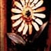 copperleaftreasures