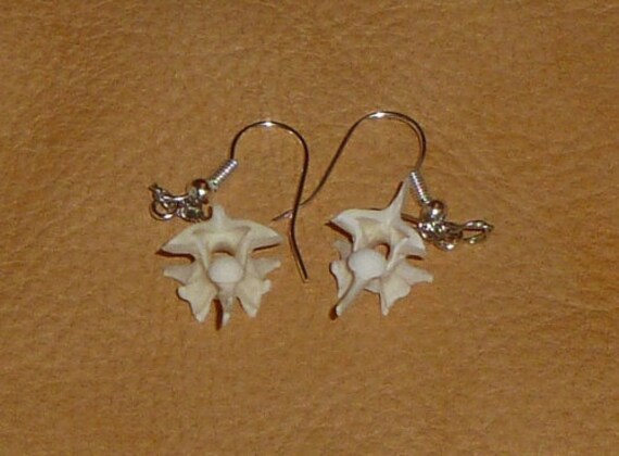 Real snake bone earrings vertebrae