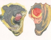 Red and Yellow Oyster Shells, original watercolor painting