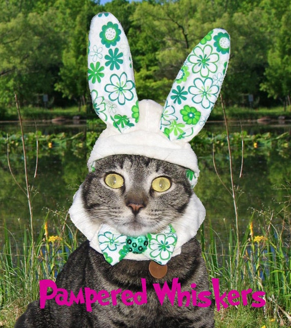 The Hopper Bunny Hat for cats and dogs