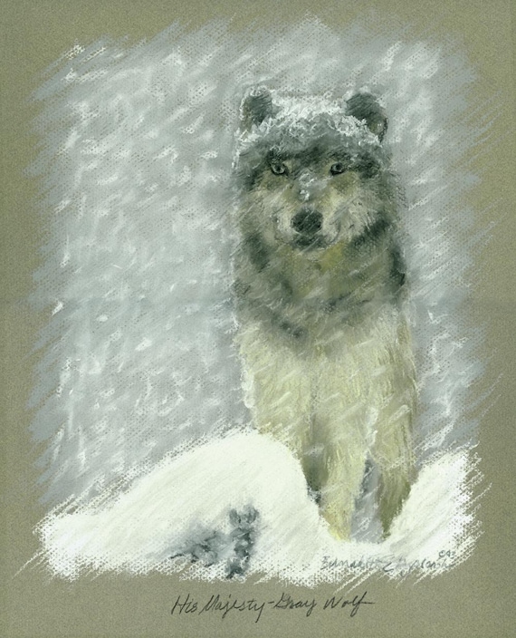 His Majesty, Gray Wolf, Framed Original Pastel