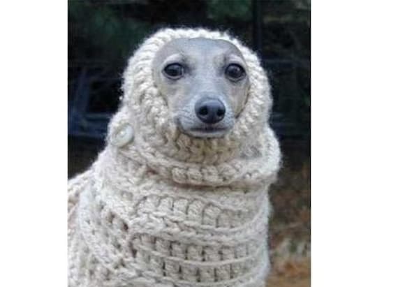 CROCHET DOG SNOOD - Crochet вЂ” Learn How to Crochet