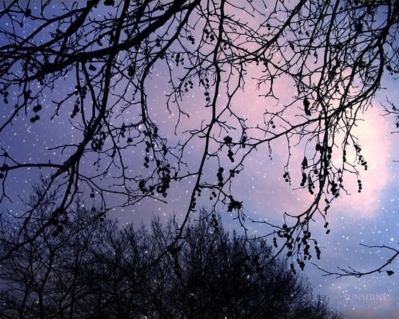 nighttime starry sky in blue, purple, amethyst photograph by Sunshine Art Design