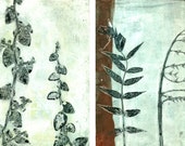 ooak monoprints botanical study series of six