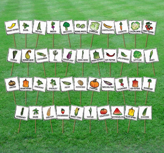 Set of 15 Hand Drawn Garden Markers