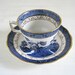 Vintage Blue Willow Tea Cup & Saucer - Royal Doulton