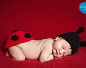 Ensemble d'accessoires photos pour nouveau-né abeille et coccinelle