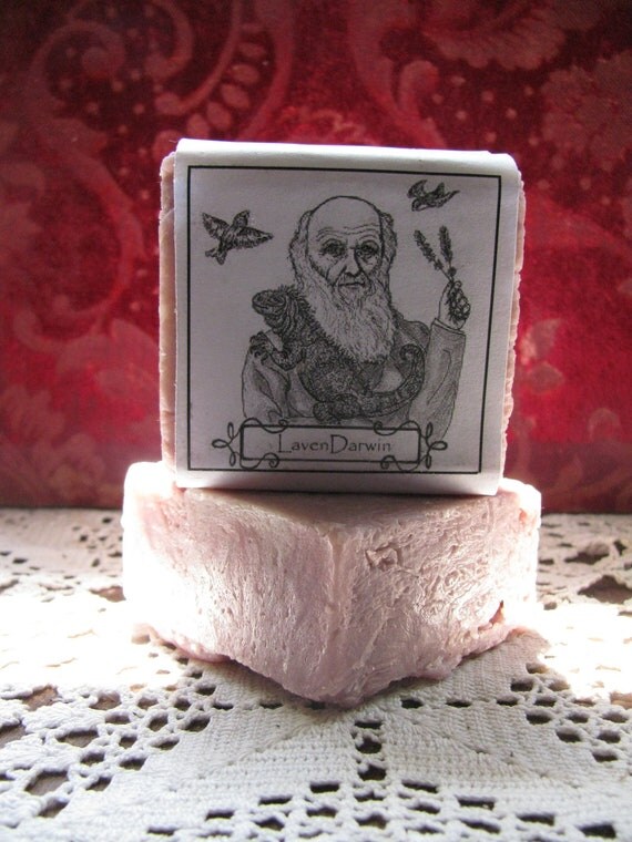 LavenDarwin Soap