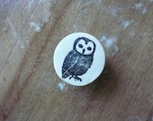Just An Owl Clay Knob