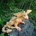 New Dragon Hatchlings sewing pattern, digital download, 2013