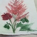 Garden Nature Art Astilbe Geranium Watercolor Original Painting by Laurie Rohner