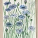 Garden Nature Art Watercolor Blue Flower Scabiosis Original Painting Laurie Rohner