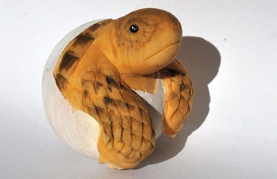 Small bolson tortoise (Gopherus flavomarginatus) hatchling / pipping woodcarving / sculpture