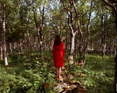Forest Meditation - Powerful Woodland Photograph 4x6