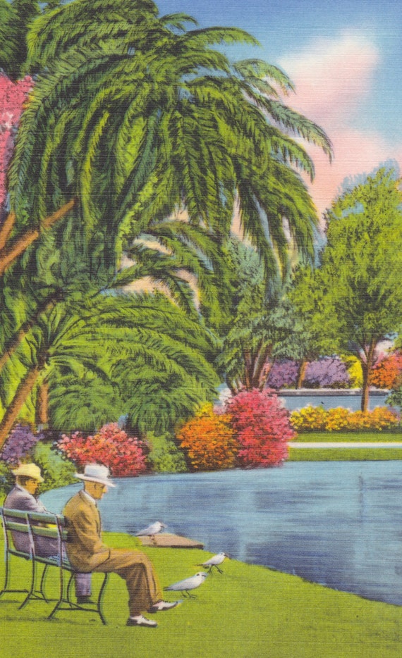 St. PETERSBURG, FLORIDA - Mirror LAKE, Men Sitting on a Bench, Vintage Linen Postcard, c. 1940s, Tichnor Bros.