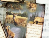 Coasters Great Outdoors Gifts for Hunters Ralph Waldo Emerson All I Have Seen Coaster Set of 4 Etsy Men