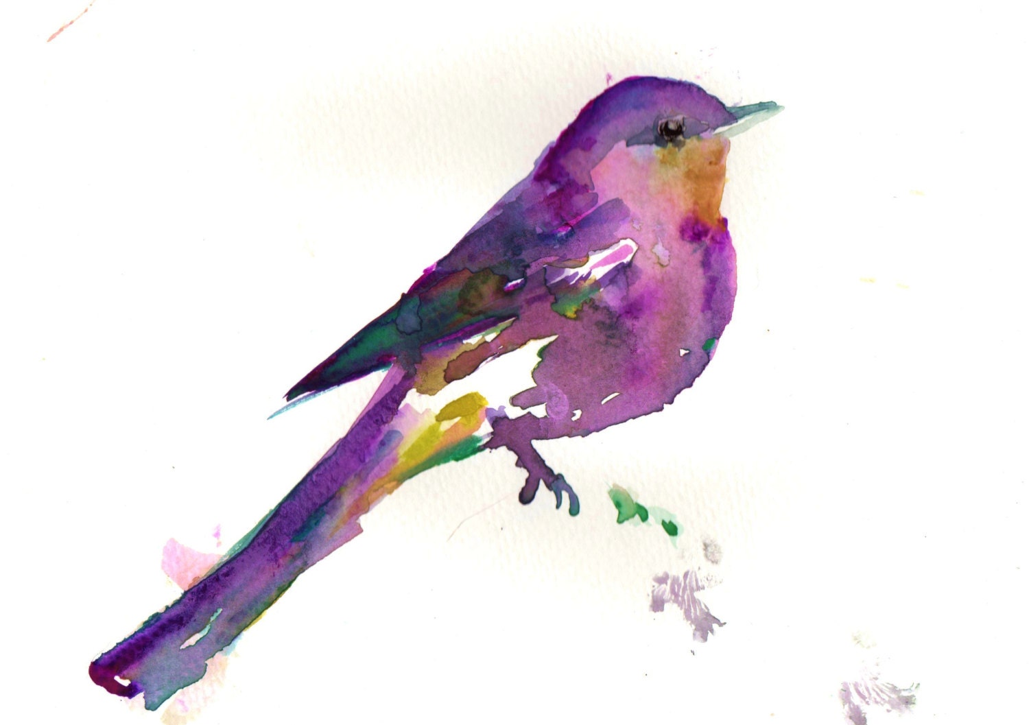Print of Watercolor Painting “Purple Bird” 9 x 12 Original Watercolor ...
