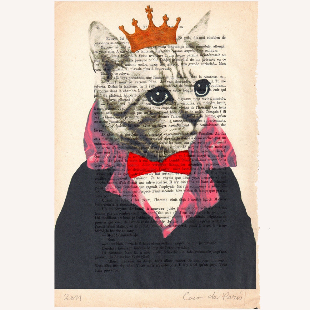 Письма из ада кэт кинг. Постеры арт кошки. Плакат кошка в очках. Cat Original. British King Cat illustration.