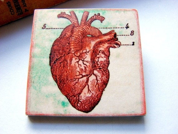 Big Pin Brooch Anatomically Correct Heart  Paper by mimiandlucy