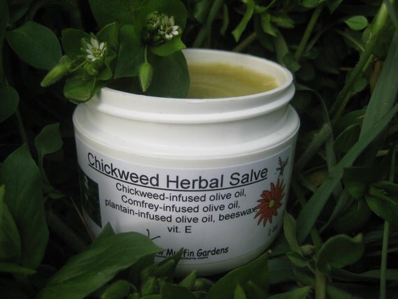 Herbal Salve for inflammation rashes bug bites von meadowmuffin2010