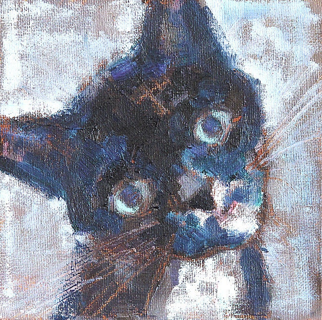 Tux the cat